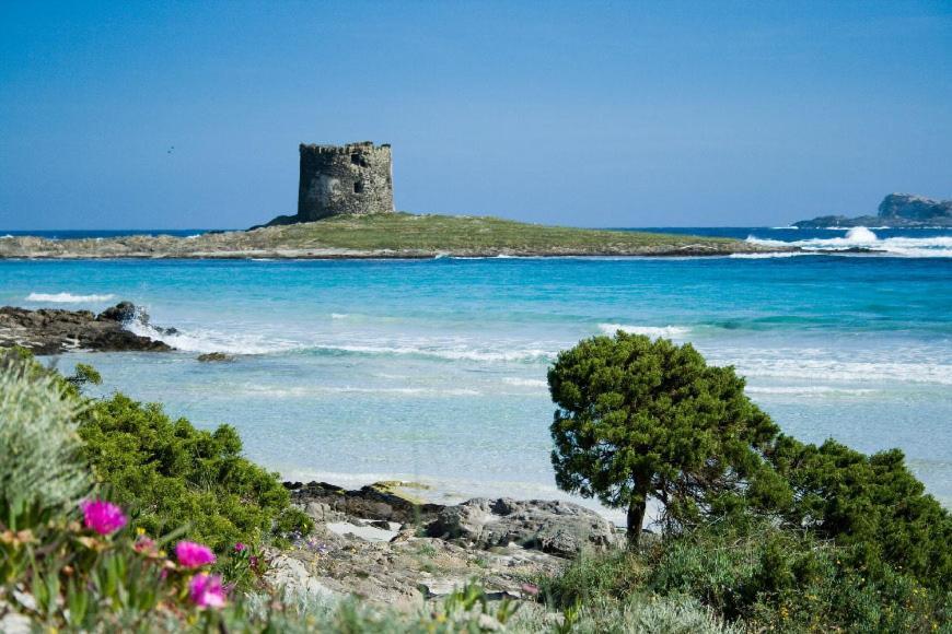 Vacanze Sardegna Διαμέρισμα Santa Teresa Gallura Εξωτερικό φωτογραφία